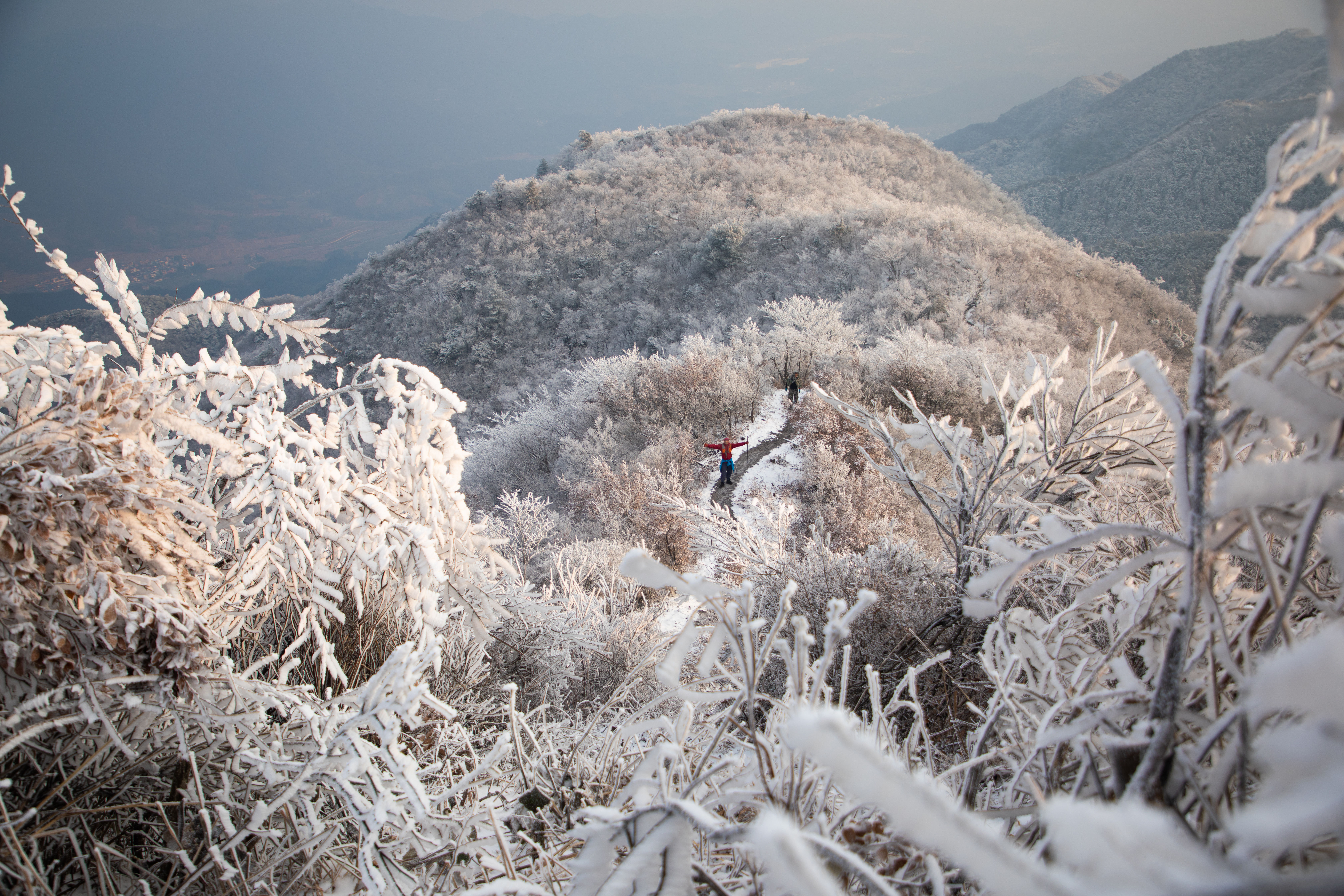 雾凇|冰花弥漫 上下一白 永康大寒山雪后雾凇惊艳