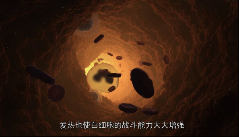 免疫系统|中国医生破解新冠谜团，抗疫喜添新武器——《免疫系统大战病毒细菌》动画记录片之观后感