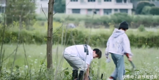 李诞|《向往的生活》迎来史上最“吵”组合!网友:看完一集,脑子懵了