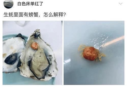 性能|神回复：猪明明在各项性能都比狗好，为什么没有警用猪？