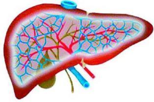 黄曲霉毒素|身体两处“发痒”,可能不是过敏了,也许是肝癌的征兆,要警惕