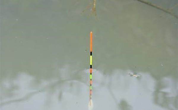 浮漂的形状不同,有不同的用途!经验来看,有这样几支基本够用了