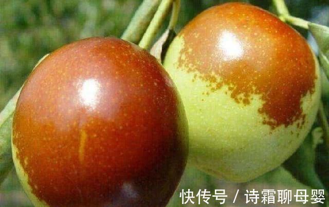 黄花菜|湿气重的人注意,4物早晚换着吃,健脾祛湿,或助你排出体内湿气