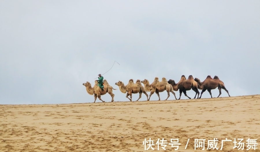 日落|中秋节在乌兰布统敖包吐后山，拍摄骆驼冲沙，遇见美丽的晚霞