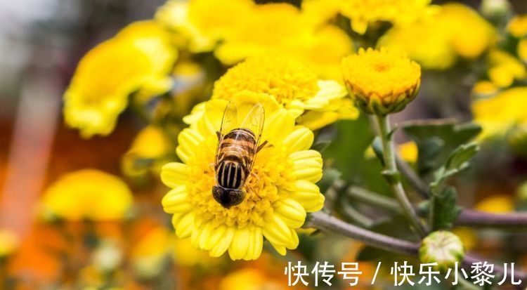 生肖|未来一周多福多财，有好运相伴，诸事顺遂三生肖