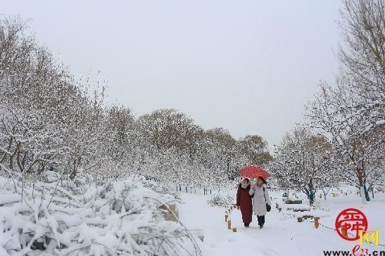 雪后植物园天地一色宛如“童话世界”