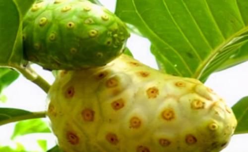 碱性食物|老年人60岁后长寿要先会吃,多吃3种食物,延缓衰老,提高免疫力