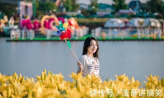 赏花|华东赏花好去处，荷兰花海百合花绽放，看《只有爱·戏剧幻城》