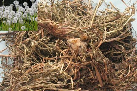 肝毒|肝病“天敌”找到了,这些药材泡水喝,清肝毒远离肝病