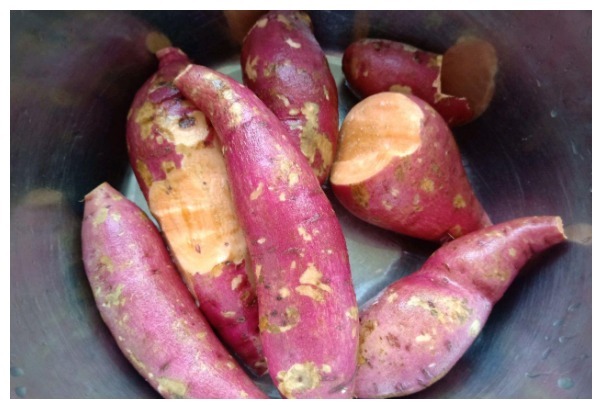 宫颈癌|00后双胞胎查出HPV,医生2种食材,怎能往汤里放,妈妈后悔不已