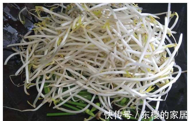 炒绿豆芽|炒绿豆芽时,多加1道蔬菜,味道好营养佳,家人很爱吃