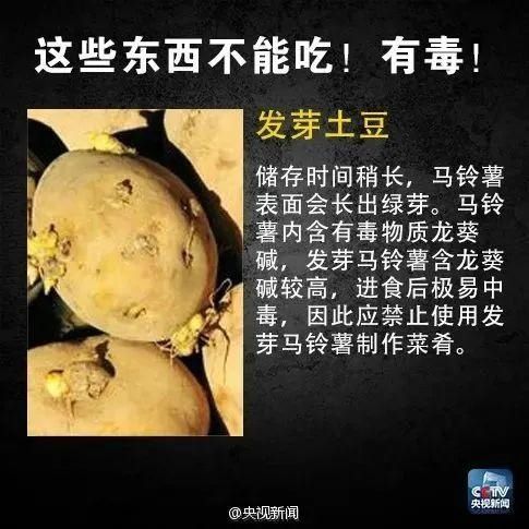 中毒|警惕！已有多人中毒！急诊科医生：这种发苦的家常菜不能吃！严重可致命
