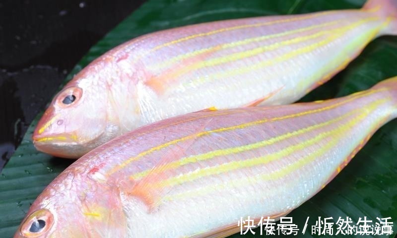 买海鱼时，这5种海鱼放心买，人工没法养，美味又营养！