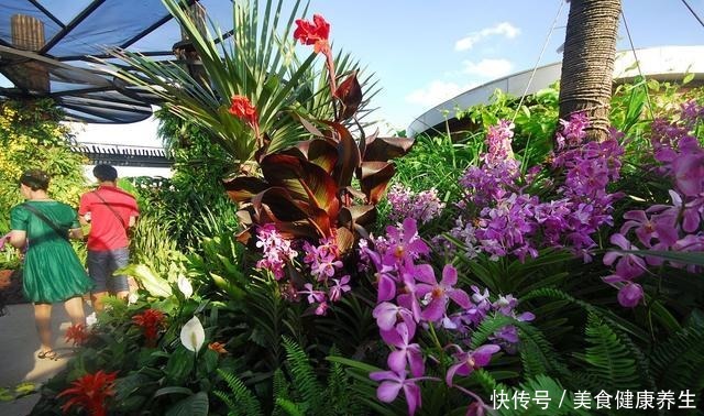 楼顶养花,做好3件事,否则空中花园变“空中危楼”!