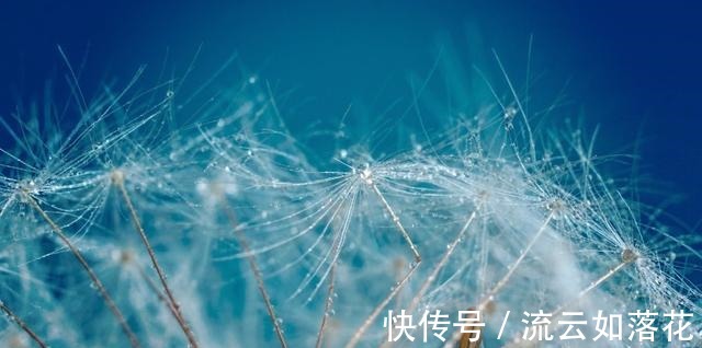 重逢|旧爱重逢，再爱一次，再牵手旧爱，不再放手