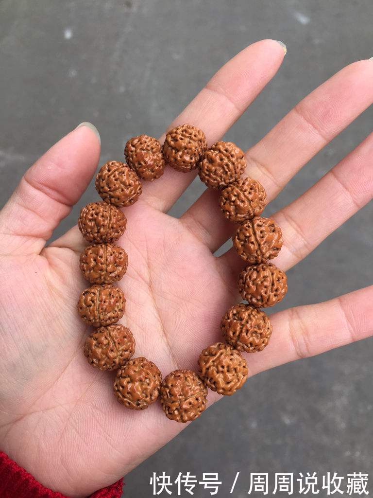 关于金刚菩提经常会被网友问到,却又真的很难回答的几个问题