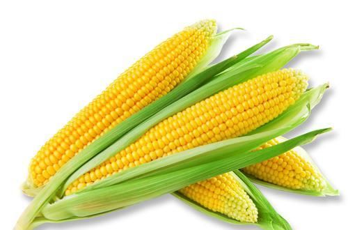 煮出来的玉米要好吃，这一物离不开，开锅后加一小匙，玉米更香甜