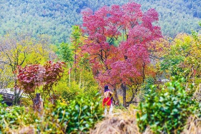 中国山水第一村，宛如山水画卷里走出来一样，令人如梦如幻