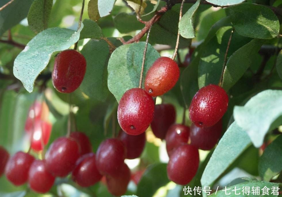 爱美|女性爱美要多吃3种食物,排毒养颜、润泽肌肤,早吃早漂亮!
