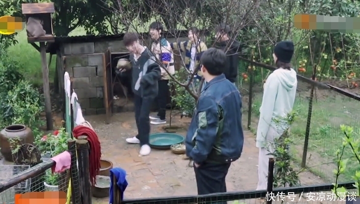 向往5|《向往5》下期:张艺兴去鸡窝掏鸡蛋,“责怪”师父把拖拉机搞坏