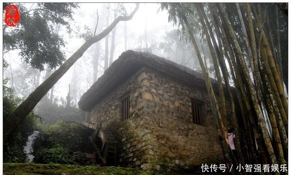 仙境|红河梯田，雾中箐口似仙境