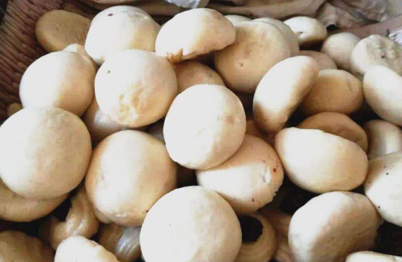  科举制|古代一奇葩考生，带着一袋子馒头参加考试，皇帝见状：状元就你了