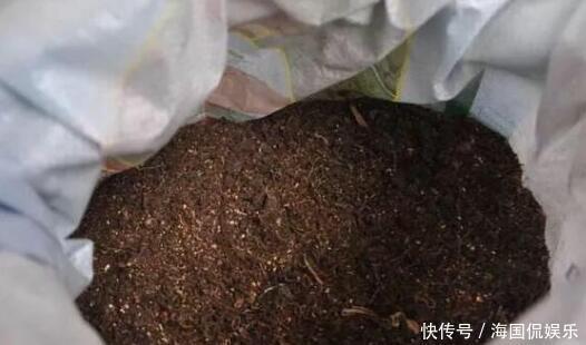 养花|搞来的养花土,少做这一步,养什么花都活不了