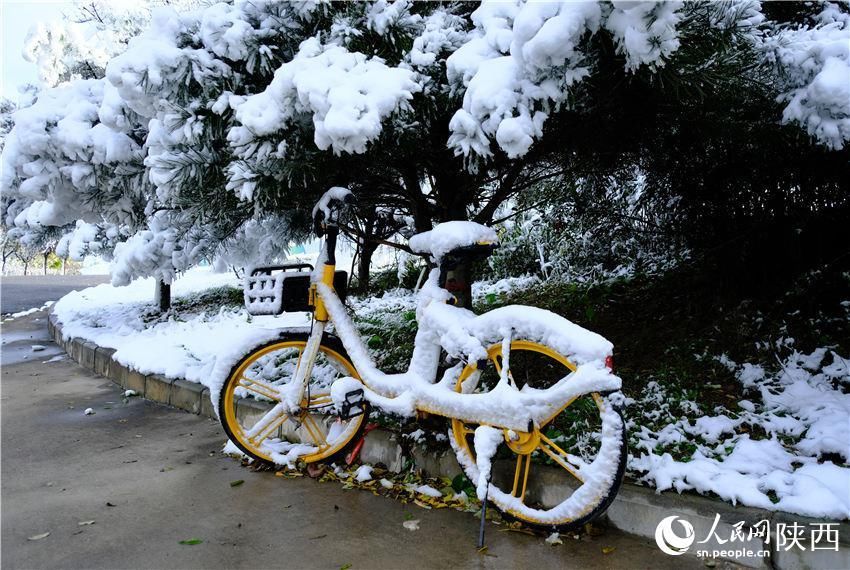 初雪|古城西安迎初雪