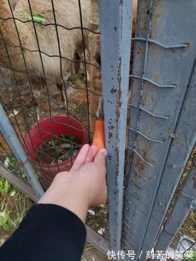 让生活每一天都有意义-记2021年十一假期