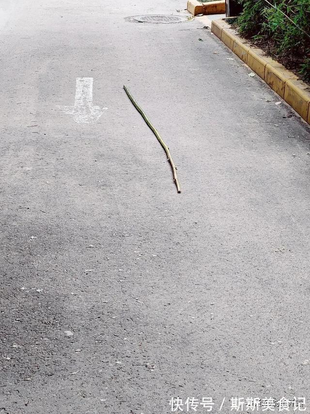 |搞笑段子：蜜雪冰城真的不把顾客当外人啊