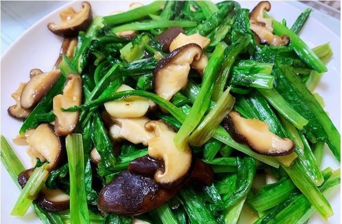 油麦菜|失眠最该多吃,简单易学,失眠好了,精神满满度夏