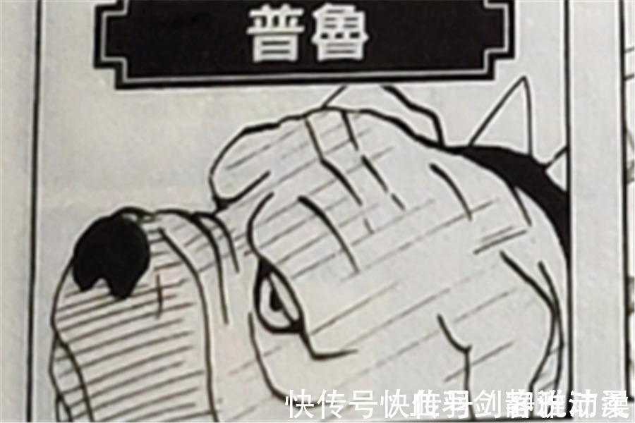 阿基诺|卡卡西的八忍犬都叫什么名字？帕克让小樱抓狂，阿基诺时刻戴墨镜