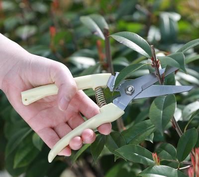 花盆|养花5年，总结出几个超实用养花技巧，5分钟学会，啥花都能活！