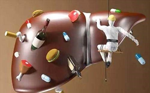 肝脏|肝好不好,看这4个部位,少吃3种食物,做好2件事,肝会越来越好