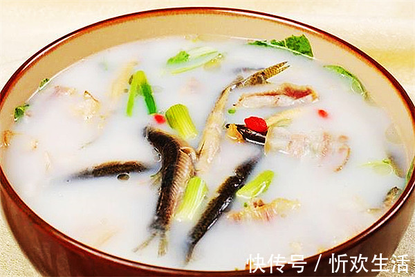 枸杞子|中老年夏季养生保健食谱，养阳补气血抗衰老，常吃阳气足不显老