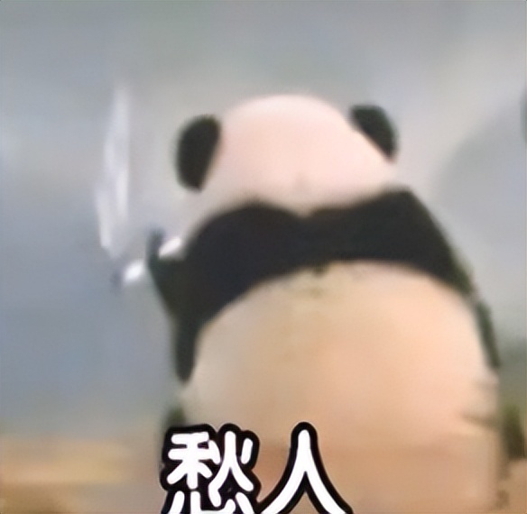 比冰点还好用的文档下载工具,网页转换助手轻松搞定全网文档下载!-HEU8