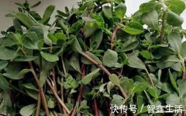 宿便|大肚子,便秘多吃4种食材,排出多年黑臭宿便,肚子慢慢瘦下来