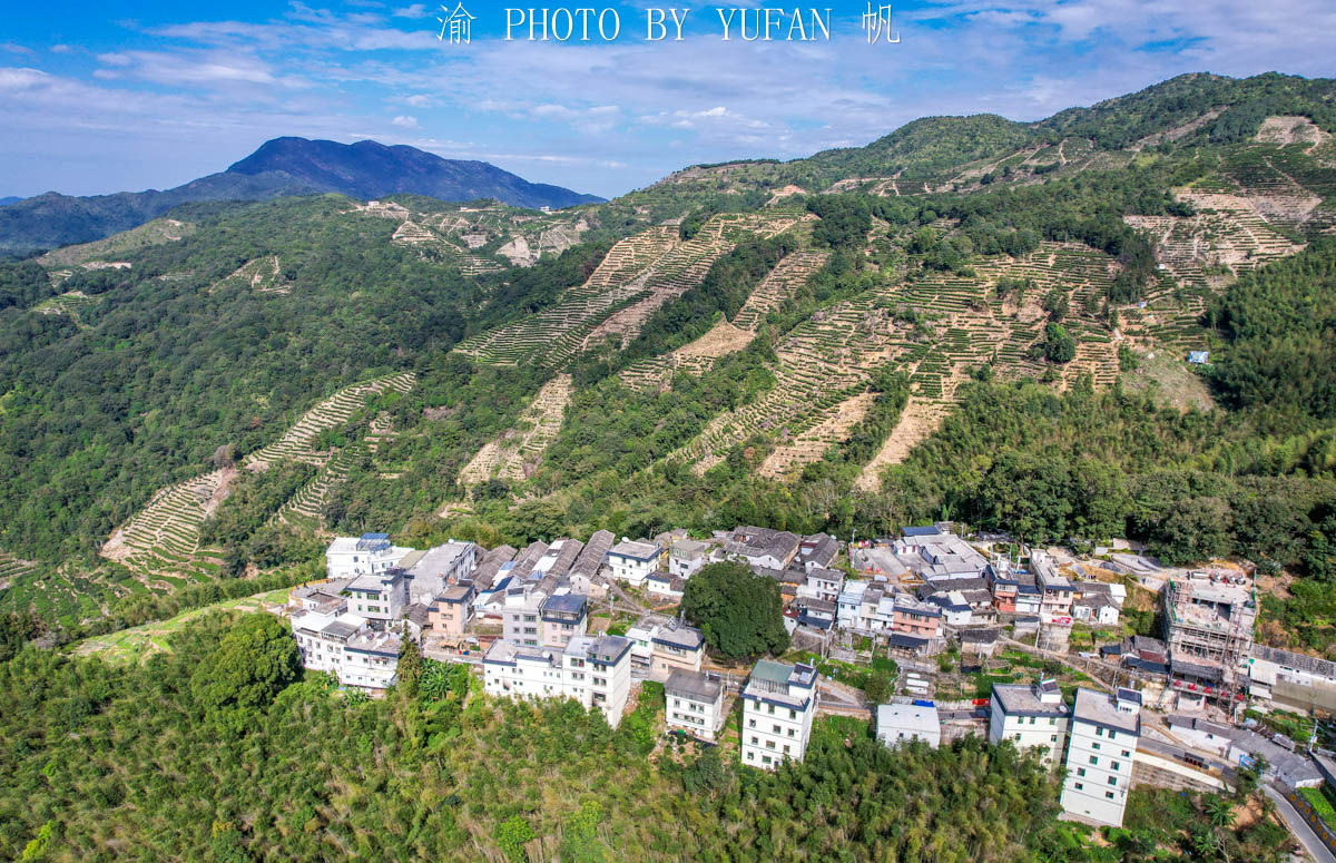 渝帆|藏在粤东大山里的世外桃源，形如山中半岛，村民因一片叶子而致富