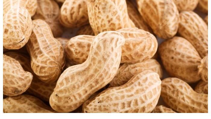 细胞|吃一次等于5斤燕麦，骨科医生：若每天吃，骨骼或成“渔网”