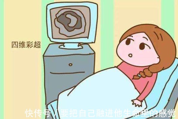 染色体|怀孕后,想知道胎儿性别是什么,可以尝试这些方法来鉴别