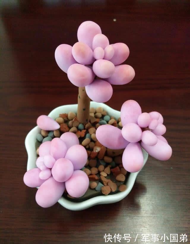 喜欢桃蛋,10月份入手后宠着养,叶子会粉嫩又肥胖