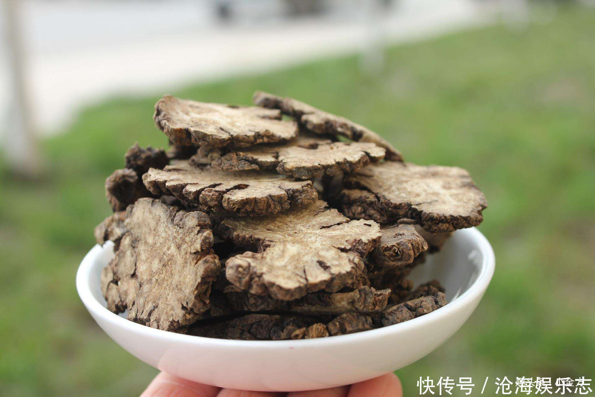 妇科|千年“妇科第一方”,竟是治疗“高血压”的奇效方剂之一