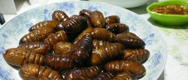 东北菜|这4道东北菜让南方人“颤抖”,吃过第4道菜的,一定是“东北人”