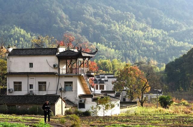 分户|因继承违反“一户一宅”原则，宅基地使用权是否会被收回答案来了