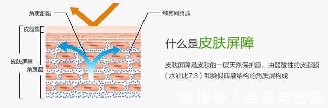 学霸级|孕期哺乳期“学霸级”慎用成分清单，超硬核成分党教你护肤不盲目