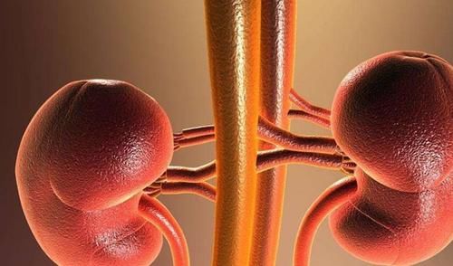 补肾|想补肾的男人，少吃3样东西，多做3个动作，肾功能一天比一天厉害