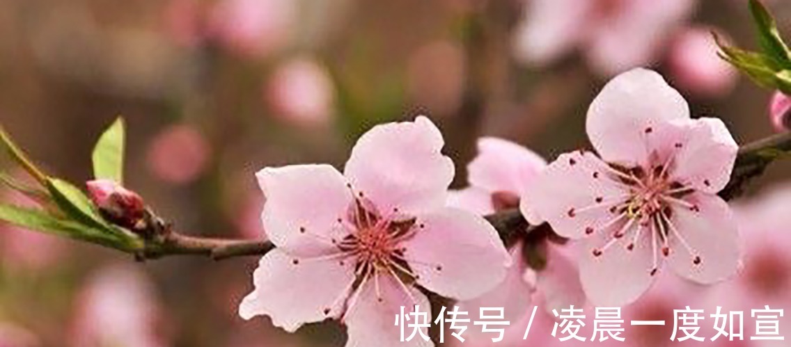 千古名句|他是苏门四学士之一，把别人的情书去掉2个字，诞生一千古名句