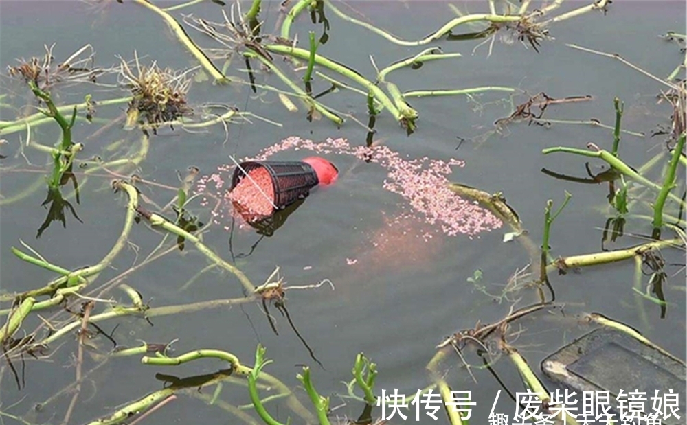 冬钓聚鱼技巧:打窝用这些方法,能把方圆20米的鱼群“请”进窝