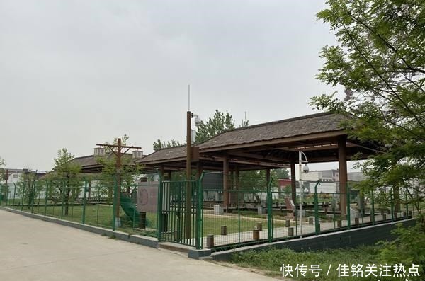 冷落|失落的贾湖遗址②尴尬!贾湖遗址惊艳了世界却冷落在民间