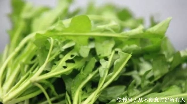 只用|我家只用这种饺子馅,比韭菜鲜,多吃也不怕胖